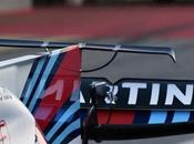 Brawn buenos ojos aleta tiburón