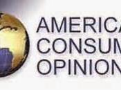 American consumer