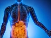 Parásitos intestinales: Cómo evitarlos