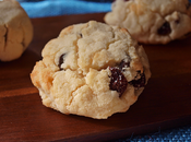 Galletas coco arandanos (Sin gluten)