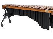 GUÍA DIDÁCTICA PARA CONCIERTO PERCUSIÓN