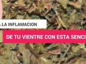 Receta Casera Para Eliminar Inflamación Vientre