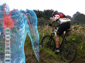 ¿Por todos ciclistas deberían tomar