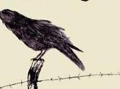 Wave Pictures Like smoke (2013)