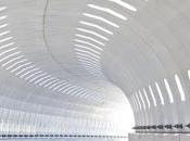 ideas para transformación digital negocio