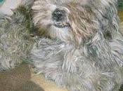 Sweet, maltratada, humillada peor, violada "niños inocentes" sevilla