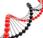 Enfermedad celíaca Chron comparten variantes genéticas