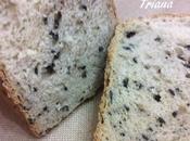 aceitunas negras (Panificadora)