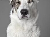 PHES, Fotografía Española Solidaria.