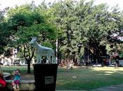 Parque Perro, Homenaje Singular