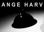 Sábado estroboscópico