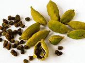 producto especias: Cardamomo