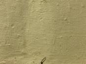 Canvi d'hora. /Cambio hora