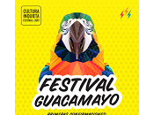 Festival Guacamayo 2017, confirmaciones