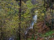 cascada