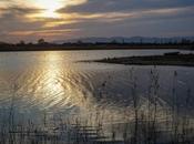 laguna Tet, recuperando medio natural Delta Llobregat