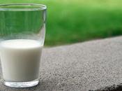 leche realmente buena para nuestros huesos?