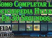 Completar Enciclopedia Hyliana Zelda Breath Wild