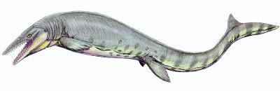 Mosasaurio polar
