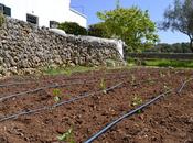 Cómo hacer huerta casa