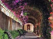 Reflexion valentia....