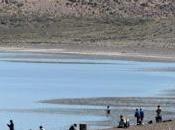 Comenzó pique Laguna Blanca