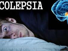 Narcolepsia