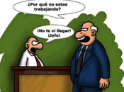 Cultura organizaciones