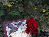 Dragones rosas ¡Feliz Sant Jordi! libro!