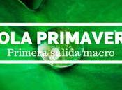 Fotografía macro primavera