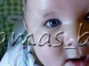 Diario bebé: meses glotón para todo