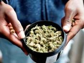 rompecabezas #empresarios #marihuana: ¿Qué hacer dinero?