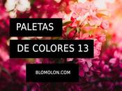 Paletas Colores