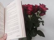 Sant Jordi Libro