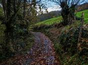 Naturaleza mojada