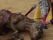 Campaña antitaurina francesa coloca dinosaurio ruedo