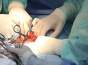 ¿Como preparar recuperación después cirugía?