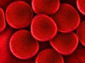 Niveles altos hemoglobina: diecisiete razones aumenta producción hemoglobina
