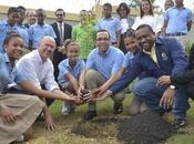 Educación Ambiente sembrarán millones arboles.