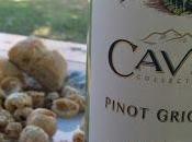Cavit Pinot Grigio tipicidad, justa expresión