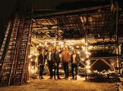 [Disco] Blossoms (2016)