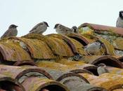 Naturaleza implacable