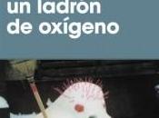 libro para hipsters, hipsters