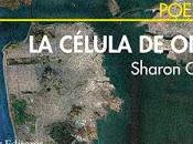 Poesía Norteamericana (86): Sharon Olds: célula (1):