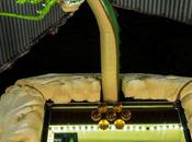 Espectacular ordenador forma dragón Shenron Dragon Ball