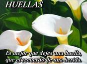 Huellas