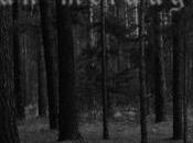 Hogan McLaughlin bailarín diseñador