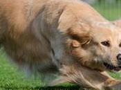 Todo sobre proteínas