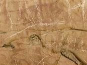 Destruyen pinturas rupestres hace 18.000 años España