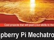 Raspberry Mechatronics Projects